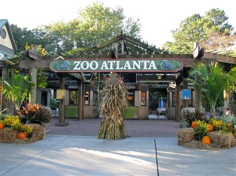 La Ciudad De Atlanta El Zoológico De Atlanta