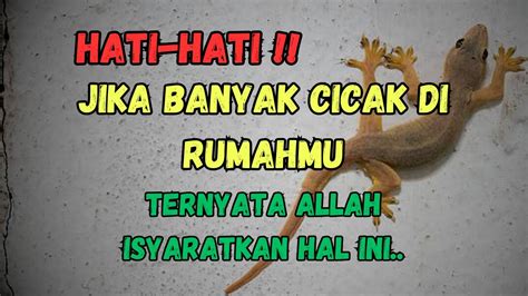 Hati Hati Tanda Tanda Banyak Cicak Di Dalam Rumah Sebagai Isyarat