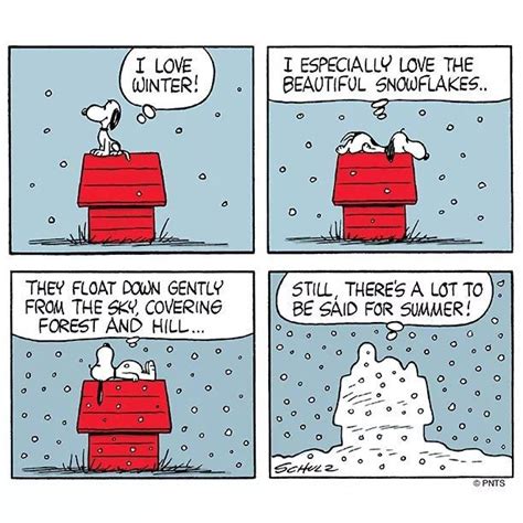 Watch Out For Those Snowflakes Peanuts Charlie Brown Snoopy Snoopy