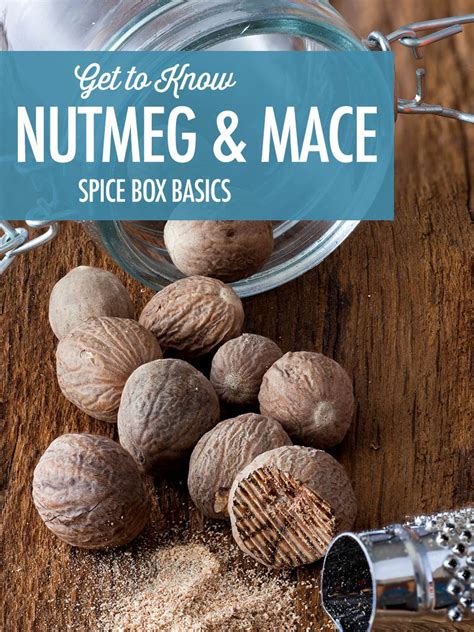The Spice Box Getting To Know Nutmeg And Mace Food Bloggers Of Canada