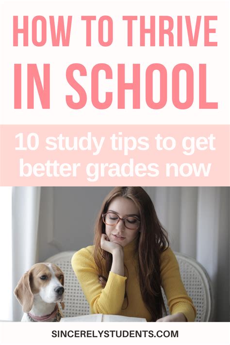 How To Thrive In School 10 Study Tips To Get Better Grades In High