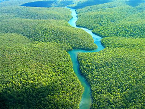 Dato Curioso 13 El Río Amazonas El Más Largo Y Caudaloso Del Mundo Biblioteca De