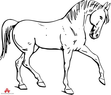 Horse Coloring Pages For Kids Clip Art Library