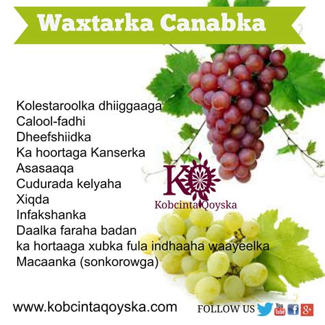 Download.waxtarka toont.com / geela boqorka xoolaha. Download.waxtarka Toont.com : Waxtarka Shanfaxda 12 ...