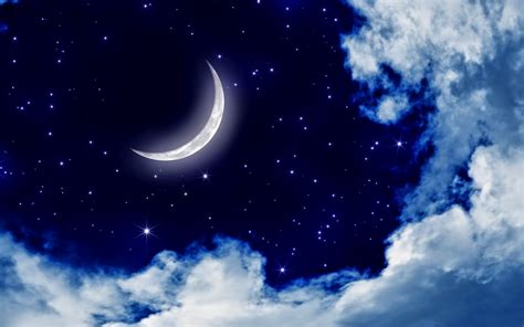 Moon Light And Stars Night Background With Trees Nature Art Images
