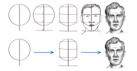 When you observe a human face, you can see that it's divided roughly into thirds from the hairline to the brow, the brow to the bottom of the nose (where it meets the very top of. How to draw a face (guide) : restofthefuckingowl