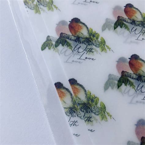 Robin Wrapping Paper 2 Sheets A4 Vellum Wrapping Paper Etsy