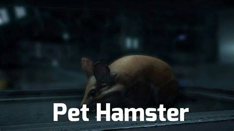 Mass Effect Andromeda How To Get A Pet Hamster Youtube