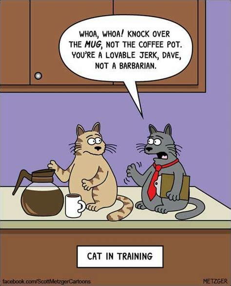 Pin By Liane Collins On Just For Fun Cat Jokes Funny Cats Cat Training