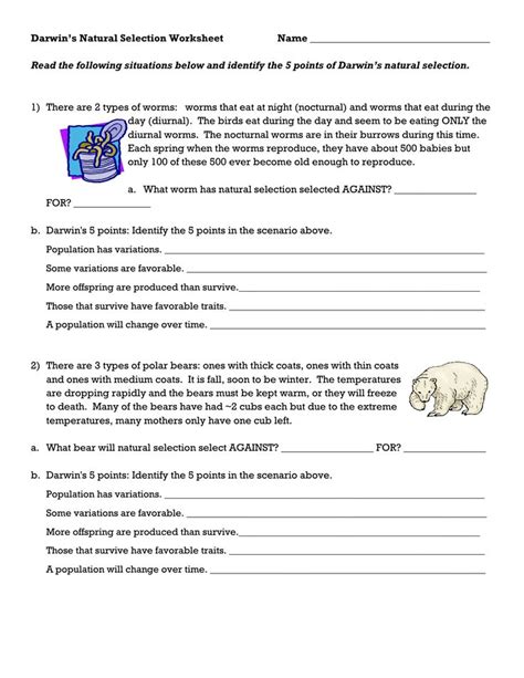Darwins natural selection worksheet name read the following situations below and identify the 5 points of darwin s natural selection. Darwin*s Natural Selection Worksheet | การศึกษา