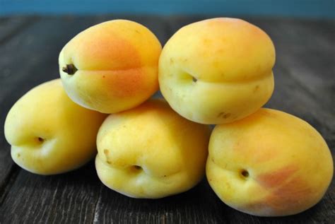 Angelcot Apricots Fruit Maven