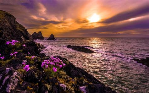 Coastal Sunset Earth Coastline Flower Ocean Sea Sunset Horizon