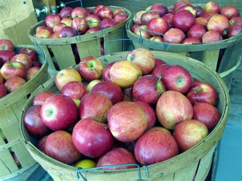 Doctors Orders More Local Apples Mountain Xpress