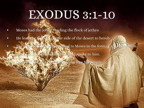 Exodus By Megan Medlin