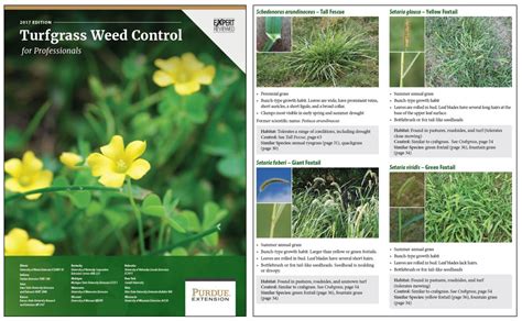 2017 Turf Weed Control For Professionals Now Available Purdue