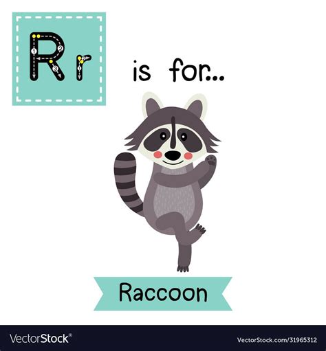 R Letter Tracing Dancing Raccoon Cute Children Zoo Alphabet Flash