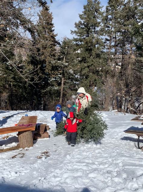 Real Red Riding Hoods Forest School Colorado Springs Winter Holidays 8