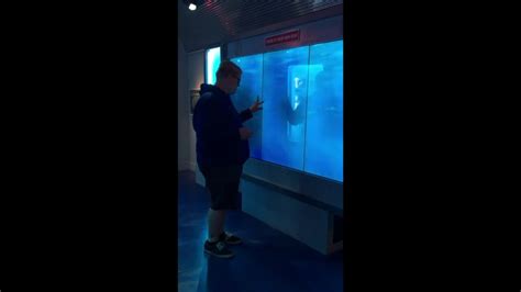 Man Scared By Shark In Washington Dc Museum Youtube