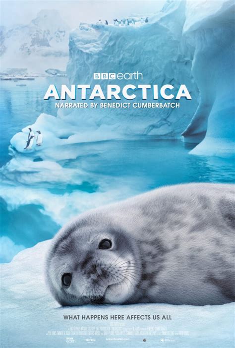 Antarctica Sk Films