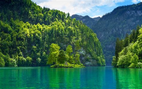 Lake Nature Landscape Germany Mountain Forest Water Trees
