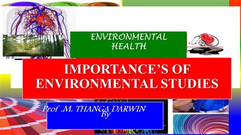 Importance Of Environmental Studies Youtube