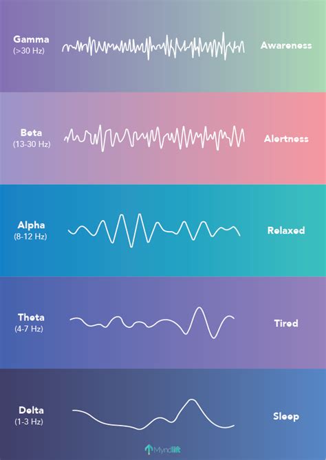 Brainwave Frequencies Explained