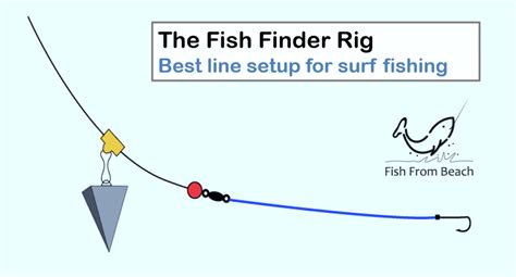 The Best Rig Setup For Surf Fishing Fish From Beach