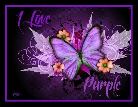 I Love Purple ♡♡ Purple Art Purple Love Purple Butterfly