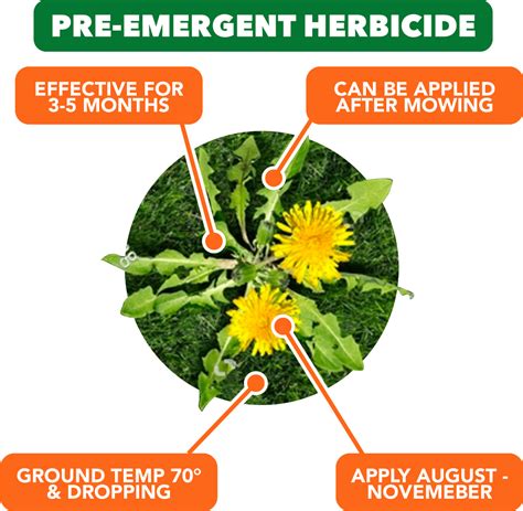 How To Apply Pre Emergent Herbicide For The Best Results