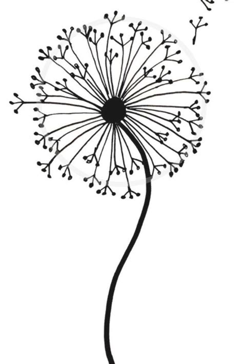 How To Draw A Dandelion Easy Dandelion Drawing Step By Step Tutorial