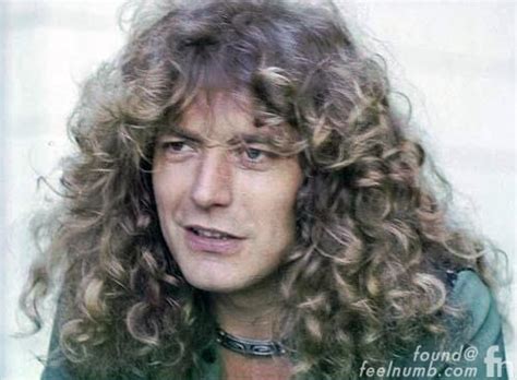 .space shifters , robert plant and the strange sensation , robert plant band , rockestra ra plant , rob , robert , robert a plant , robert a. Sadly, The Robert Plant "Flower Crown" Photos Are Fake ...