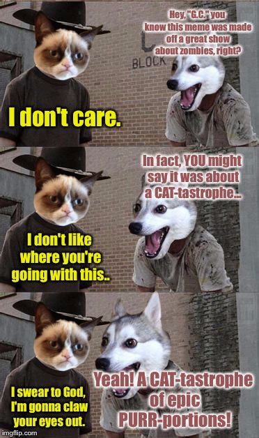 Grumpy Cat Dog Meme Ayla Thorpe
