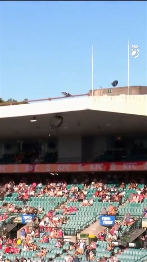 Webster Hits The Scg Roof Bbl12 Bill Oreilly Roof Beau Webster