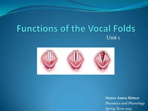 Normal Vocal Folds