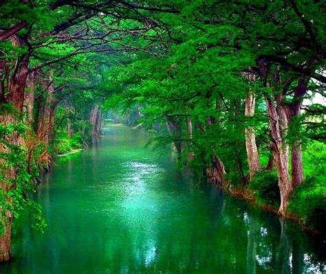 Enjoy and share your favorite beautiful hd wallpapers and background images. 4k nature wallpapers - HD Wallpapers , HD Backgrounds ...
