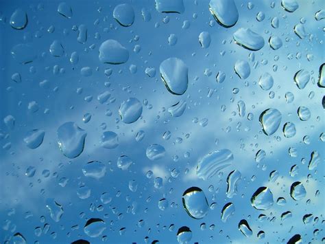 Gambar Air Alam Penurunan Hujan Gelombang Daun Bunga Biru