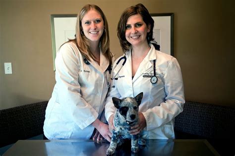 Jackson Small Business Corner Country Garden Veterinary Clinic Started