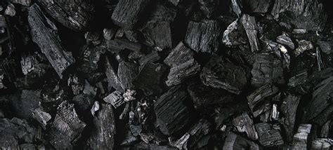 Should I Use Charcoal Ash In Garden