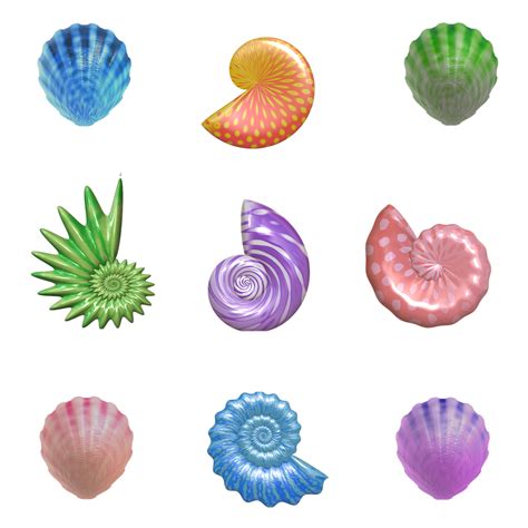 Shell Seashell Nautilus · Free Image On Pixabay