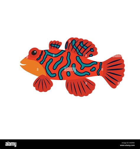 Cartoon Mandarin Fish Stock Vector Image And Art Alamy