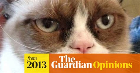 After Grumpy Cat What Memes Deserve The Hollywood Treatment Animals