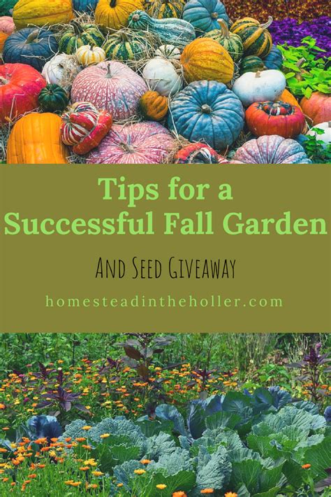 Fall Garden Tips Homestead In The Holler