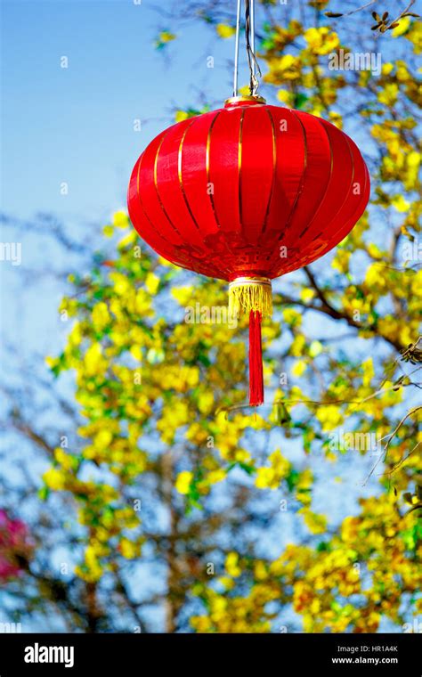 Beautiful Vibrant Red Chinese Lanterns To Celebrate Asian Chinese New