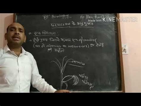 If you've not planned for a baby, having to wait for your menstrual period. Less 3 period 3by Hari kant sir - YouTube
