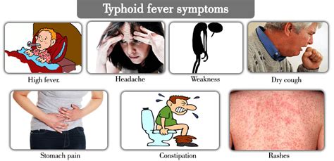 Sign And Symptoms Of Typhoid Fever Typhoid Fever Fever SexiezPix Web Porn