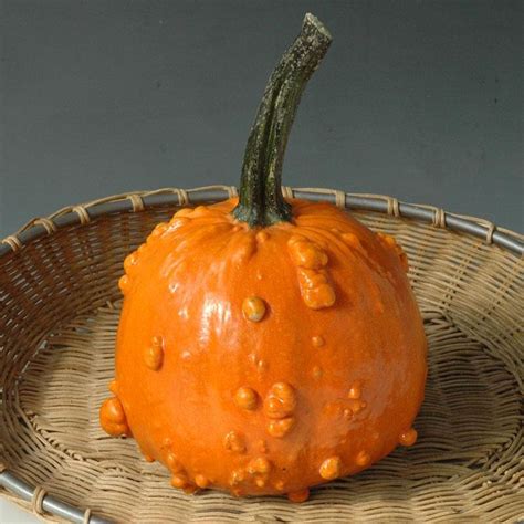 52 Types Of Pumpkins To Eat Decorate And Display Pumpkin Pumpkin
