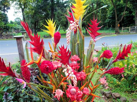 Victoria does a great job for a very he played all the music we wanted and had all of our guests from our wedding out on the dance floor the. Gorgeous Hawaiian flowers ... at a wonderful bakery/crafts ...