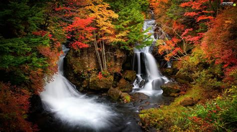 Ryuzu Japan Forest Waterfall Autumn For Phone Wallpapers 2048x1149