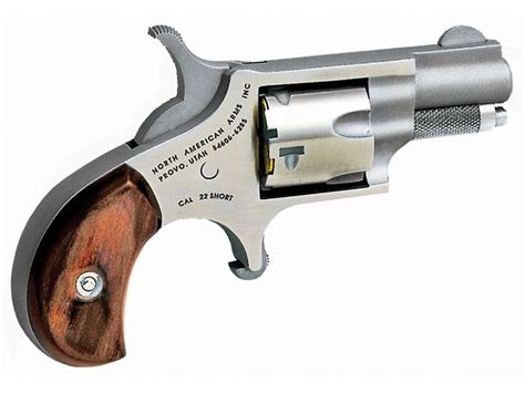 16 Concealed Carry Derringers And Mini Revolvers