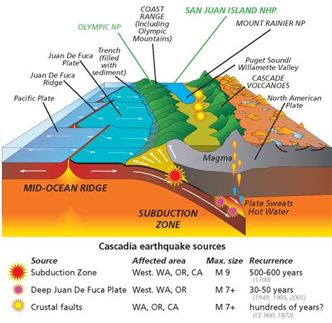 Volcano Diagram With Tectonic Plates Volcano